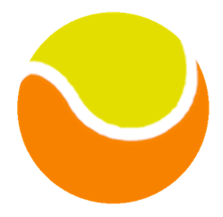 Orange Ball Kids Tennis